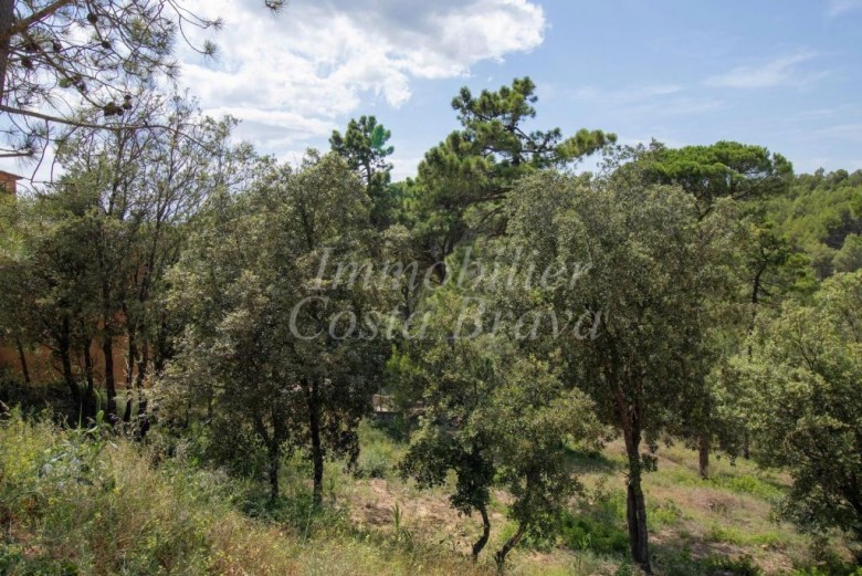 Building plot surrounded by trees and facing the green area, for sale in Residencial Begur